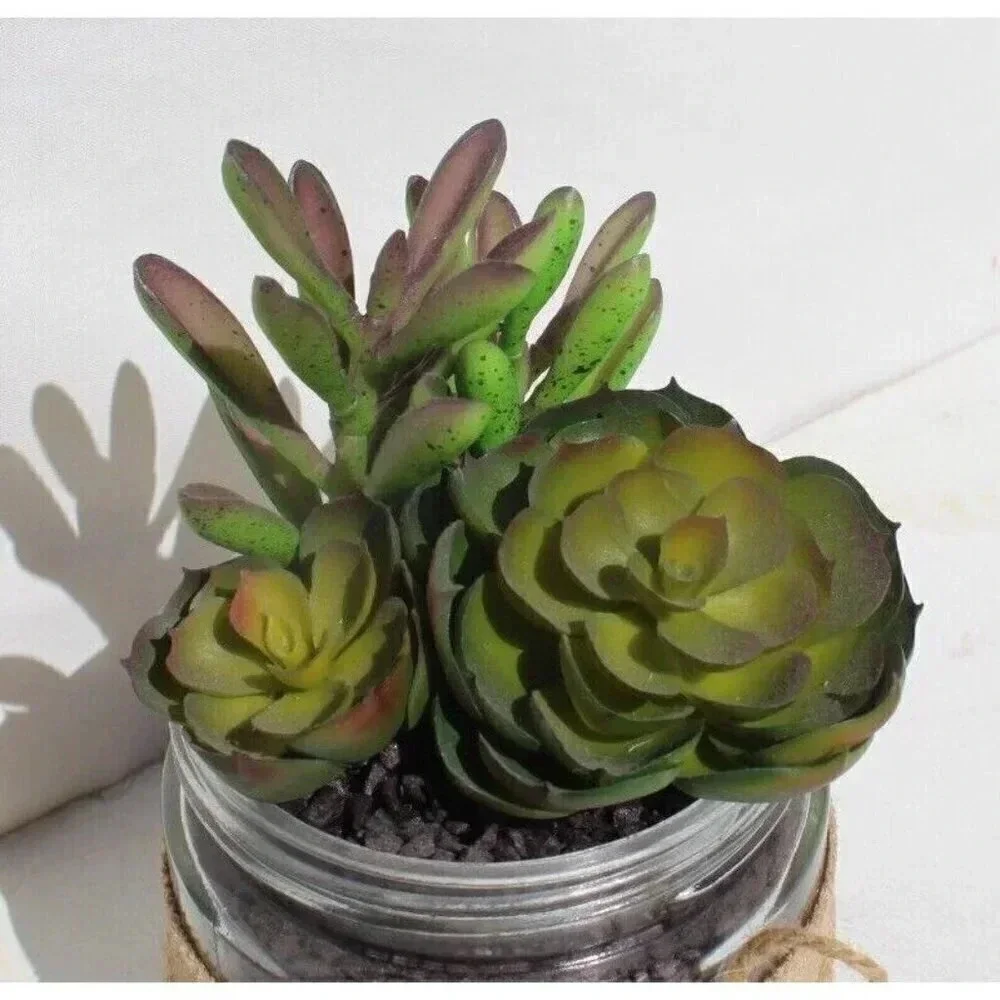 New Country Shabby Chic Farm House Artificial Succulents in Glass Jar W/ Burlap